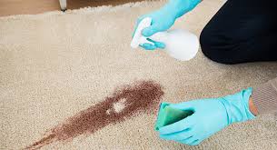 Blot car une grande partie de l'urine que possible en prévoyant plusieurs serviettes en. 6 Astuces Pour Detacher Desinfecter Et Raviver Les Moquettes Et Tapis Mamie Co