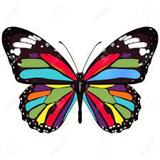 Bunte schmetterlingsmotive ausdrucken / wähl den richtigen ausdruck aus. Bunte Schmetterlingsmotive Ausdrucken Https Encrypted Tbn0 Gstatic Com Images Q Tbn And9gcrvn8alt2h5rnzle4cnwu0vwmfflkc6qe6wjaj25ym8xpsjytdc Usqp Cau Bunte Schmetterlingsmotive Ausdrucken Hier Finden Sie Schone Schmetterlinge Ausmalbilder Als Pdf