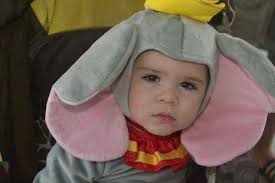 FLORIDA BERMUDA MOOSE ASSOCIATION