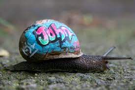Russian Graffiti Art Snail Art Graffiti Art Urban Art