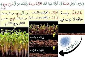 الآية 5 من سورة الحـج Learn Islam Islamic Pictures Quran Tafseer
