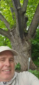 Section Hike from Pawling to Bear Mountain Inn