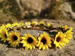 Sunflower Crown Wedding Flower Crown Flower Girl Crown Baby Flower Crown Sunflower Headband Baby Bridal Flower Crown Flower Crown 2965804 Weddbook