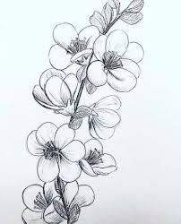 Flowers Drawing Pattern Nature 56 Ideas Nature Art Drawings Flower Drawing Flower Pattern Drawing Explore › images › nature › flower.