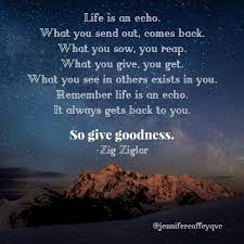 Life Is An Echo Ziglar Life Life Advice Ziglar