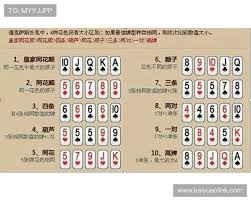 德州扑克集团官网：提供丰富的德州扑克学习资源与在线交流社区 ...