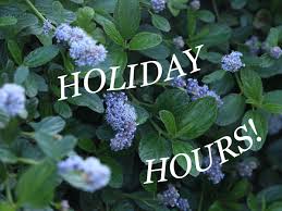 Image result for Macrotyloma densiflorum