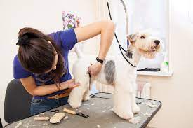 However, it does require some skills with tools like a staple gun. Dog Grooming Arm For Back End Of Dog Online