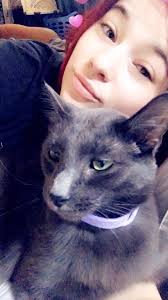 Found cat near Mishawaka High School