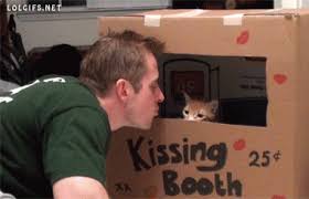 Cat Kiss Chosen Gifs cat kiss chosen gifs
