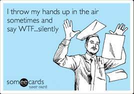 How to train your daughter ch. I Throw My Hands Up In The Air Sometimes And Say Wtf Silently Workplace Ecard