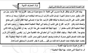 أوراق عمل فهم المقروء لغة عربية صف خامس فصل أول زاد