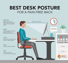 10 best ergonomic office chairs for back pain: Best Desk Posture For A Pain Free Back Orchard Clinic