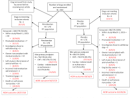 Figure 1 From Effect Of Pimobendan In Dogs With Preclinical