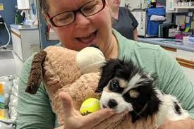 Laurel Park Animal Hospital