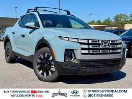 Image result for Blue Stone 2023 Santa Cruz