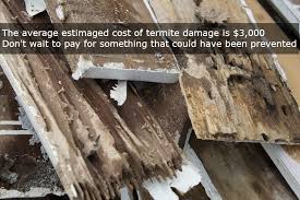 Whether you have just found termites or want to take preventative measures to make sure you never do, we have the most superior and affordable solutions in the market. The Devastating Costs Inconveniences Of Termite Damage