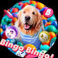 Bow Wow Bingo! event in Lebanon, OR