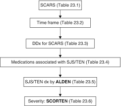 Image result for SCORTEN Score