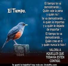Frases Para Pensar Reflexionar Y Meditar En Imagenes De Aves Jpg 432 414 Frases Pensamientos Consejos De Vida