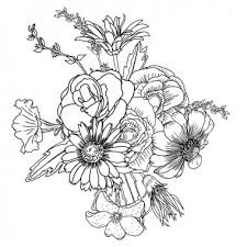 Hand drawn flowing frame & ribbon pack. Coreopsis Free Vector Eps Cdr Ai Svg Vector Illustration Graphic Art