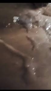 Zayn dom Gay Porn Videos, 2 | Faphouse