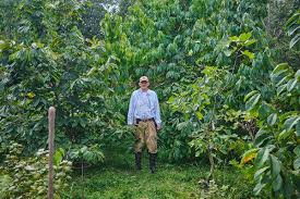 I'd particularly like to have blackberries, raspberries, blueberries and possibly grapes. The Promise Of Pawpaw The New York Times