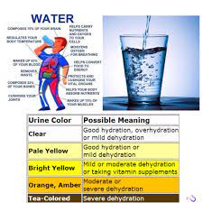 Value in cup = 2.7 × 4.2267528377304 = 11.41 cups. Breena Martinez On Twitter Trainer Tip Drink More Water Women Need About 2 7 Liters 91 Ounces And Men Need About 3 7 Liters 125 Ounces Hydrate Replenish H2o Https T Co Gtwq7xpggi