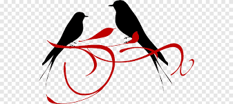 Gambar lovebird bagus paling hist download now 5 ciri lovebird fight. Lovebird Bird Cinta Hewan Png Pngegg