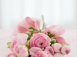 Use them in commercial designs under lifetime, perpetual fresh roses on white background, floral flowers blooming garden wedding pattern, pastel wallpaper fine art phopto, instagram flat. Roses Bouquet Congratulations Arrangement Flowers Nature Summer Natural Romance Love Rose Wallpaper Pikist