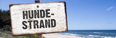 Sogar eine hundebar für frischen wassernachschub gibt es dort. Die 8 Schonsten Hundestrande In Holland 2021 Mit Karte