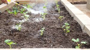 De is easiest to apply if it's in a shaker container of sorts. What Is Diatomaceous Earth And How To Use It In Your Garden