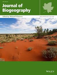 Image result for Brachystegia michelmorei