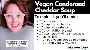 Condensed Vegan Cheese Soup