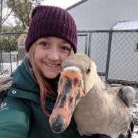 1100+ "Spier" profiles