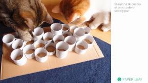 12 Accessoires Pour Chiens Et Chats A Fabriquer Soi Meme Diy Pour Chien Jeux Pour Chat Chien Chat