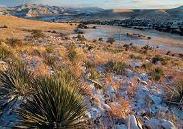 Reserva De La Biosfera De Janos Chihuahua Gob Mx
