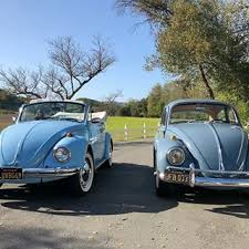 Pin By Gabriella Sardella On Punch Buggie Lovin Volkswagen Beetle Vw Beetles Vw Bug