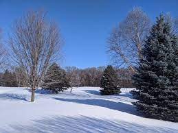 Download Winter S Halftime Score On Pace For Mildest Winter In 8 Years Mpr News