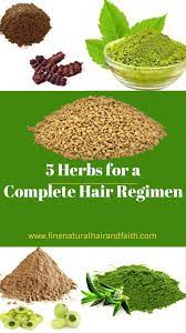 Herbs For Hair Care Top 5 Herbs For A Complete Regimen Fine Natural Hair Faith Growth Styling Herb Hair Care Herbs Herbal Hair Care Ayurvedic Hair Care