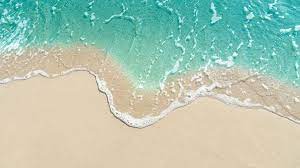 Halal (حلال, halāl, halaal) is an islamic arabic term meaning permissible. Is It Allowed To Eat A Sea Turtle Seahorse Crocodile And Hedgehog Shaikh Ibn Baz Abu Khadeejah Ø£Ø¨Ùˆ Ø®Ø¯ÙŠØ¬Ø©