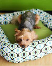 I am sharing amigurumi patterns for you here for free. 10 Free Dog Bed Patterns Printable Patterns Allfreesewing Com