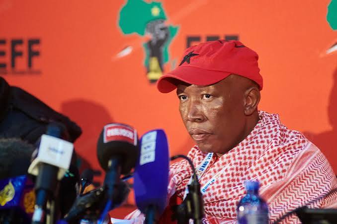 South African Firebrand EFF Leader Malema Found Guilty of Breaking Gun Laws - Bloomberg