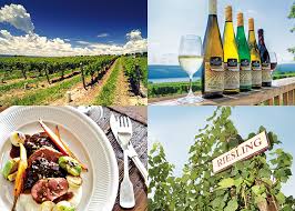 Read on for some hilarious trivia questions that will make your brain and your funny bone work overtime. Riesling Wine Quiz Test Your Knowledge Decanter