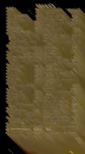 Theophrasti ... De historia plantarum ?libri IX cum decimi principio, & De  causis, siue, earum generatione, libri VI Theodo