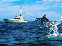 See more ideas about fish, fish wallpaper, fly fishing. Fishing Desktop Backgrounds Group 75