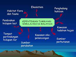 Hutan di kawasan tanah tinggi penting sebagai kawasan tadahan hujan. Kepentingan Hutan
