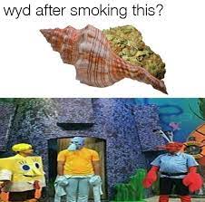 What Would You Do After Smoking This Memes