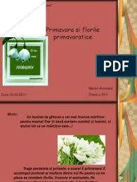 Savesave prezentare microsoft office powerpoint nou for later. Flori De Primavara Ppt Gradinita