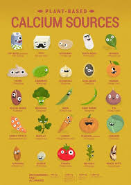 Vegan Calcium Poster English Cute Characters Show You